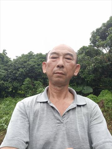 荔枝 產品圖片（產品編號 695337）
