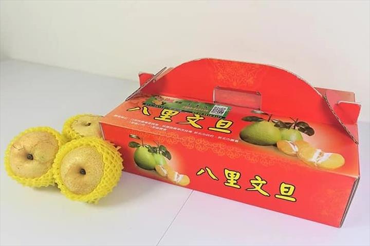 梨 產品圖片（產品編號 697479）