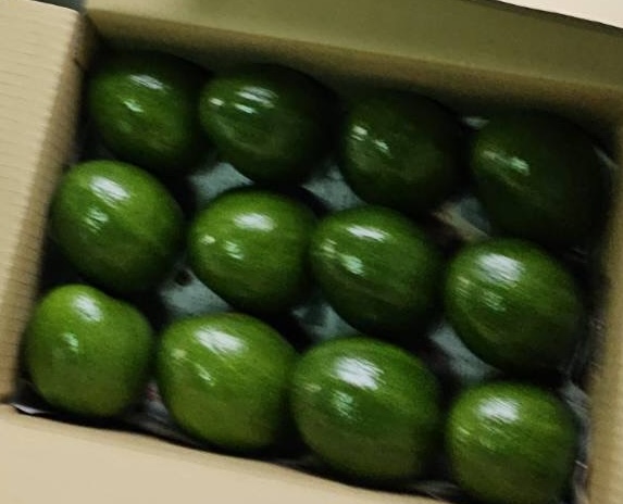 酪梨 產品圖片（產品編號 697516）