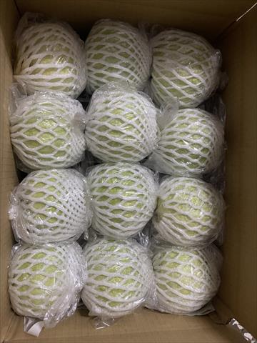 番石榴(芭樂) 產品圖片（圖片編號 975666）