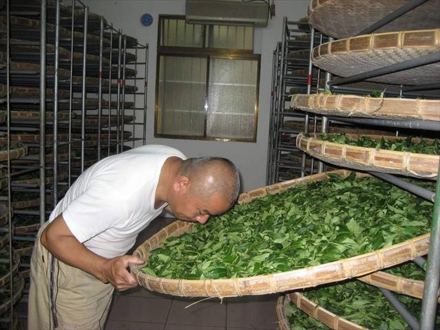 茶製品-茶 產品圖片（圖片編號 978091）