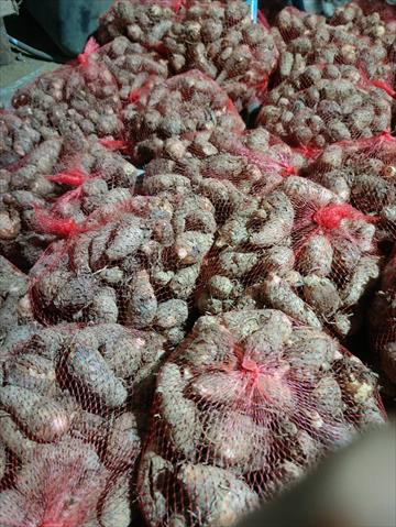 芋頭 產品圖片（圖片編號 981551）