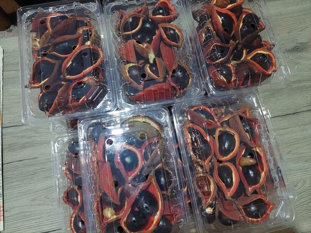 蘋婆 產品圖片（圖片編號 983754）