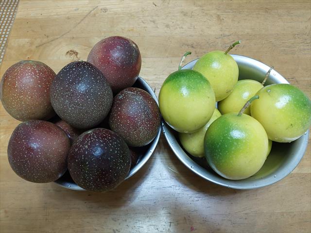 百香果 產品圖片（圖片編號 983766）