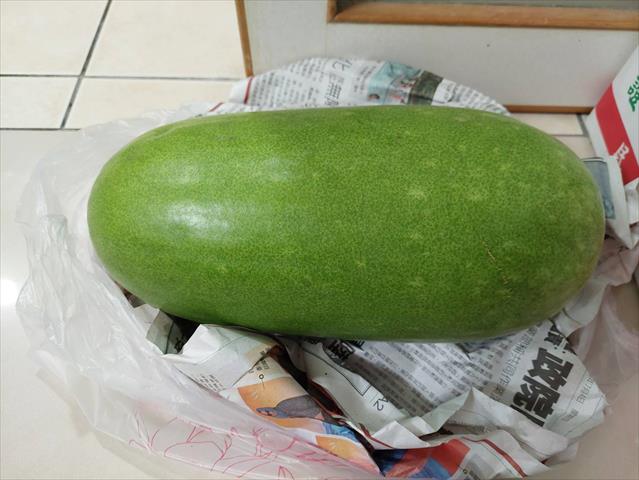 冬瓜 產品圖片（圖片編號 983782）
