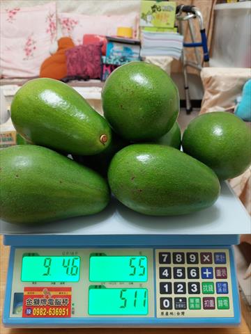酪梨 產品圖片（圖片編號 983787）