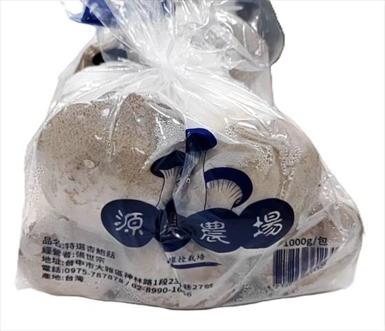 杏鮑菇 產品圖片（產品編號 703028）