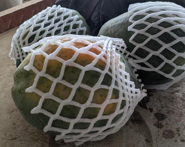 木瓜 產品圖片（產品編號 703372）