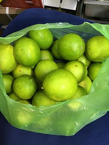 檸檬 產品圖片（圖片編號 986042）
