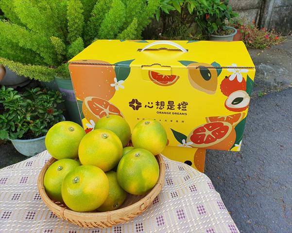 柳橙 產品圖片（圖片編號 986970）