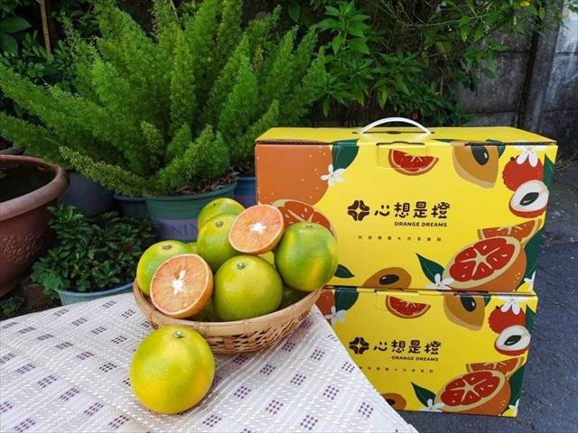 柳橙 產品圖片（產品編號 454178）