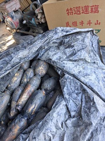 蓮藕 產品圖片（圖片編號 987009）