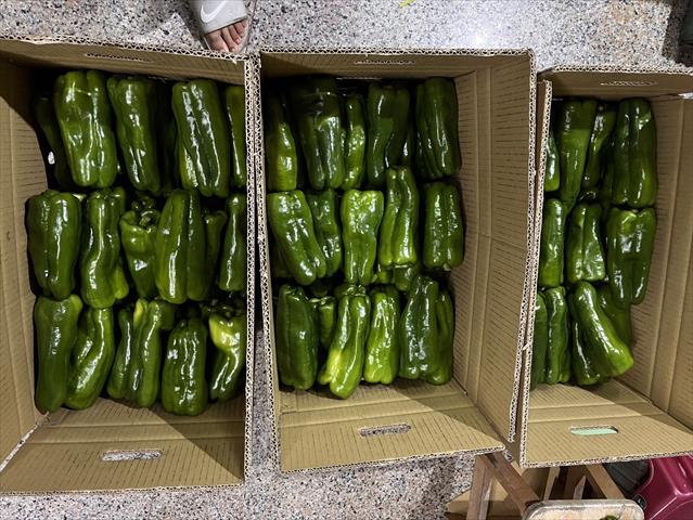 甜椒(含青椒) 產品圖片（圖片編號 987267）