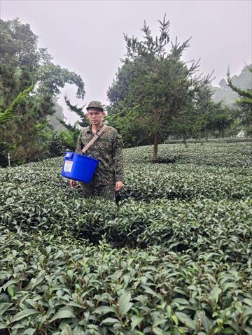 茶製品-茶 產品圖片（圖片編號 987287）