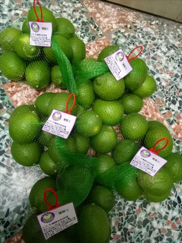 檸檬 產品圖片（圖片編號 987783）