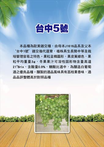 農村酒品 產品圖片（圖片編號 989213）