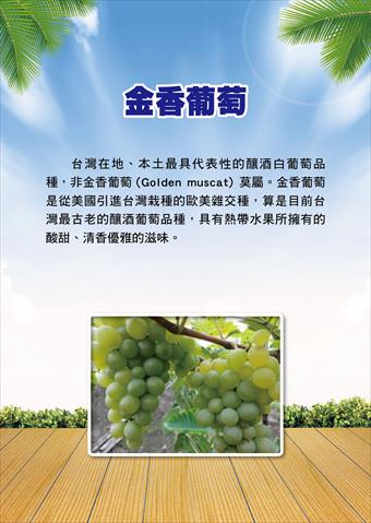 農村酒品 產品圖片（產品編號 705330）