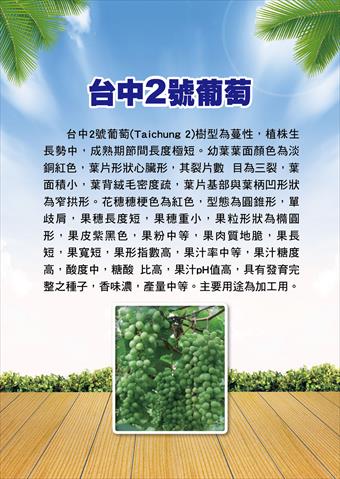 農村酒品 產品圖片（圖片編號 989216）