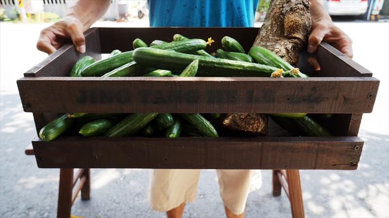 小黃瓜(花胡瓜) 產品圖片（圖片編號 990448）