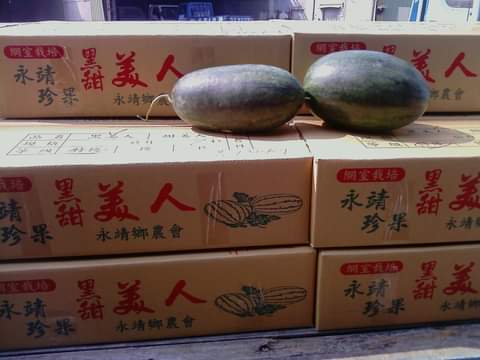 西瓜 產品圖片（圖片編號 991579）