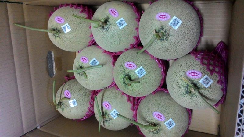 洋香瓜(哈蜜瓜) 產品圖片（圖片編號 991606）