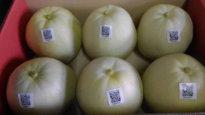 香瓜(美濃瓜) 產品圖片（圖片編號 991607）