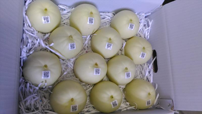 香瓜(美濃瓜) 產品圖片（圖片編號 991614）