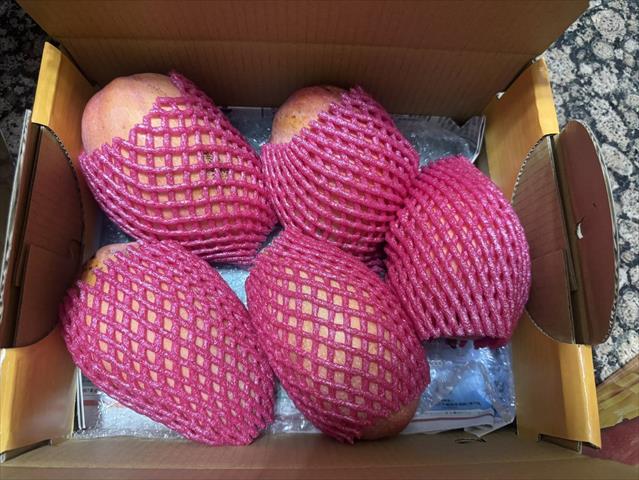 芒果 產品圖片（產品編號 707634）