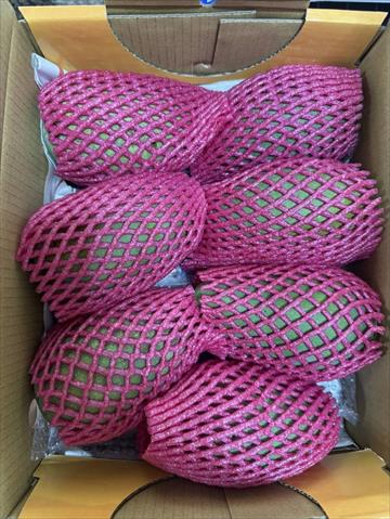 芒果 產品圖片（圖片編號 994483）