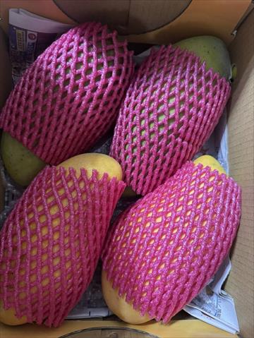 芒果 產品圖片（圖片編號 994484）