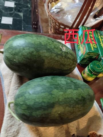 西瓜 產品圖片（圖片編號 994521）
