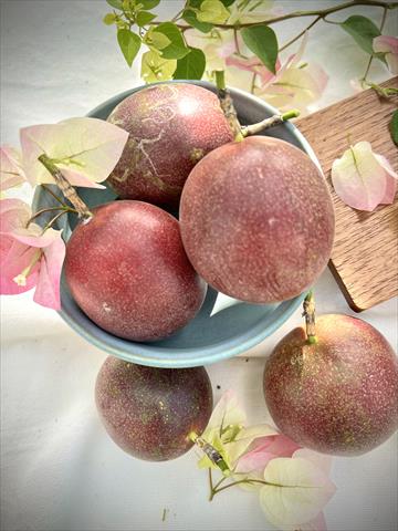 百香果 產品圖片（產品編號 708639）