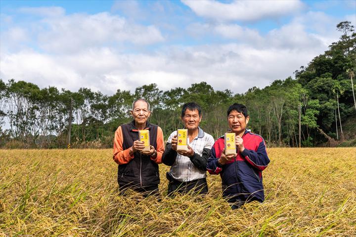 稉稻(糙米) 產品圖片（圖片編號 996137）