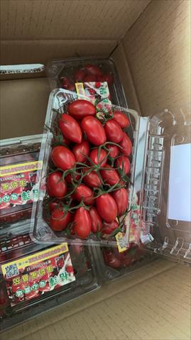 番茄(含小番茄) 產品圖片（產品編號 708756）