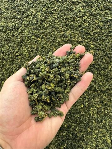 茶製品-茶 產品圖片（產品編號 708889）