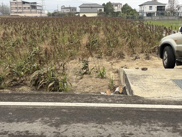高粱 產品圖片（產品編號 709856）