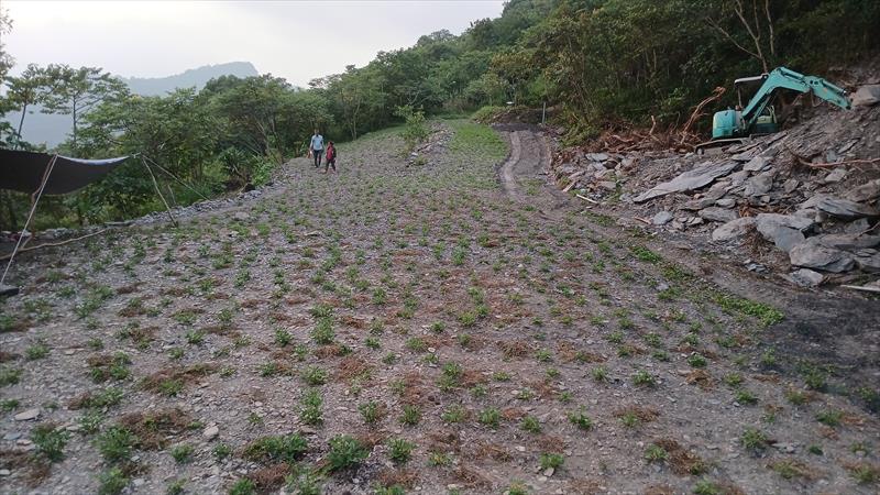 甘藷(地瓜) 產品圖片（產品編號 710430）