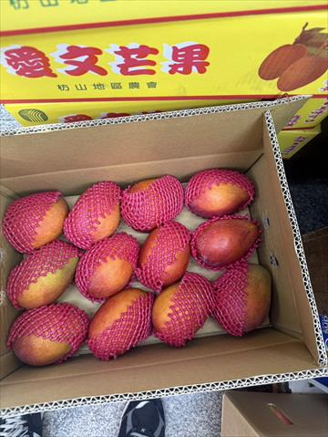 芒果 產品圖片（圖片編號 999466）