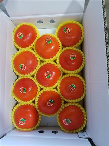 柿子 產品圖片（圖片編號 999677）