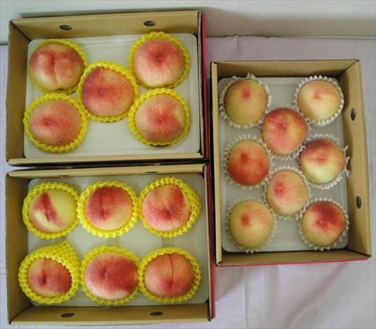 桃 產品圖片（圖片編號 999678）