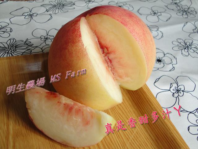桃 產品圖片（產品編號 710880）