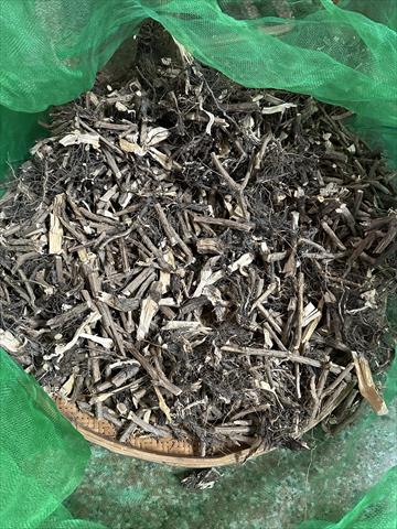 羅勒(九層塔) 產品圖片（產品編號 710959）