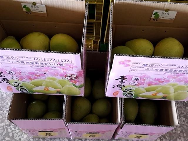 文旦柚 - 斗六文旦 產品圖片（圖片編號 1015646）