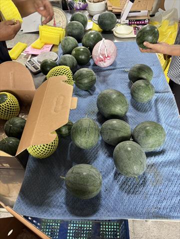 西瓜 產品圖片（圖片編號 1026479）