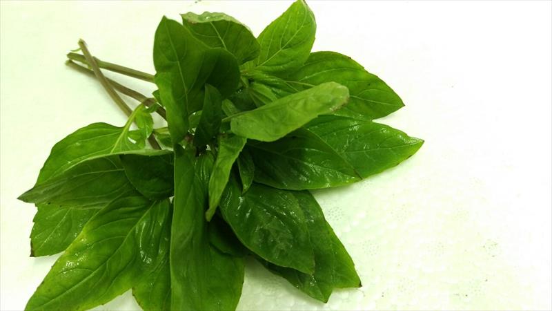 羅勒(九層塔) 產品圖片（圖片編號 230641）