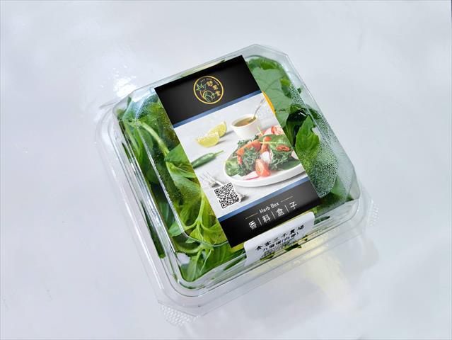 羅勒(九層塔) 產品圖片（圖片編號 512882）
