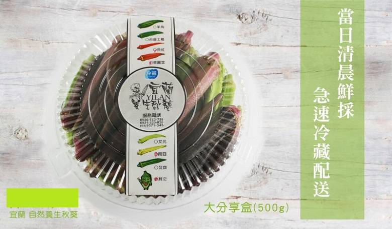黃秋葵(羊角豆,秋葵) 產品圖片（圖片編號 512885）