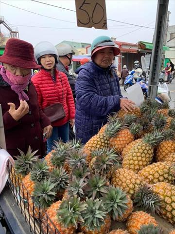 鳳梨 產品圖片（圖片編號 570160）