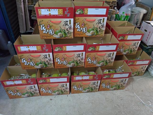 文旦柚 - 麻豆文旦 產品圖片（圖片編號 607610）
