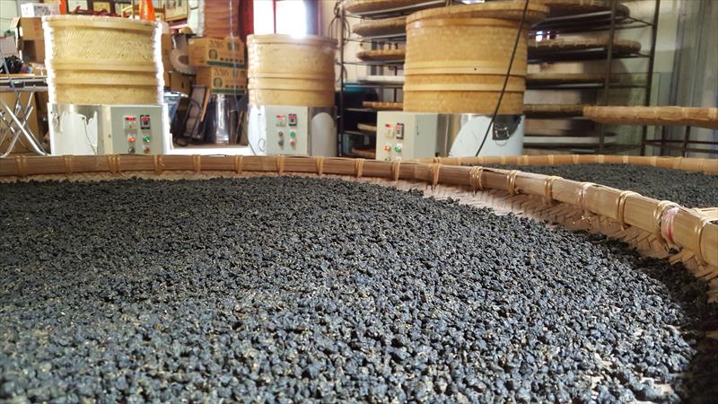 茶製品-茶 - 包裝 產品圖片（圖片編號 609309）